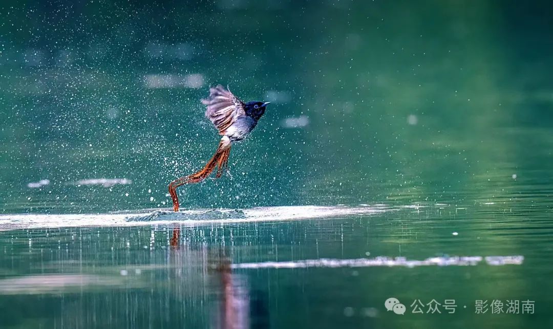 DƬ